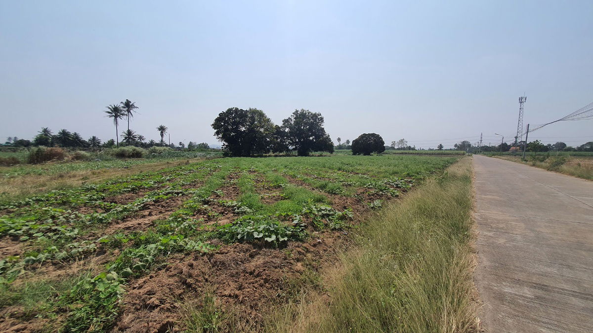 picture Good Feng Shui, excellent location, beautiful, cheap, connected to 3 roads, connected to a large irrigation canal, high land. - 4/7