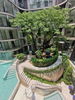 listing thumbnail image 19