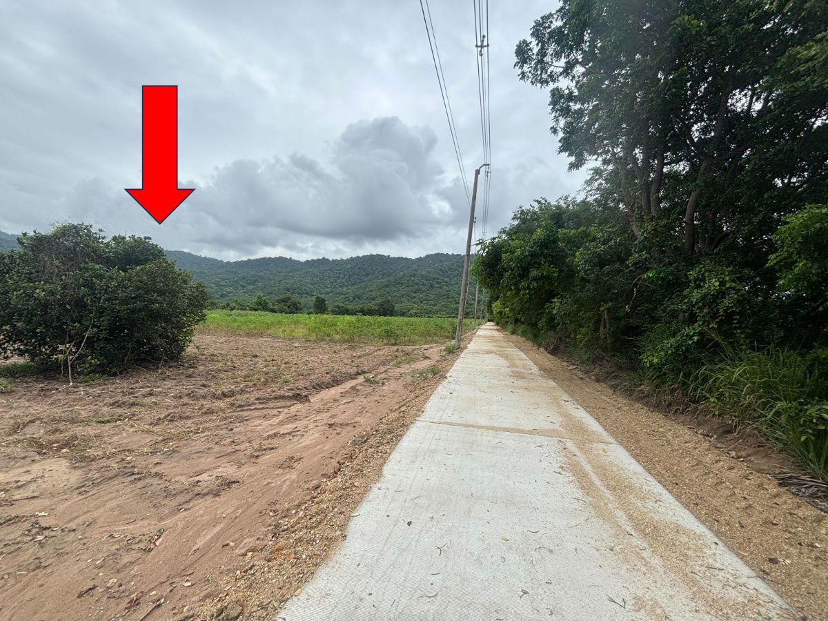 picture Land for Sale with Mountain View 8 Rai in Nong Khang Khok, Mueang Chonburi - 7/10