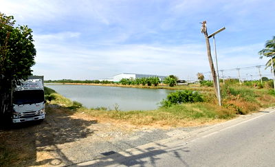 ที่ดิน นิคมบางพลี : ขายที่ดินผังม่วง 36 ไร่ ถนนบางนา-ตราด กม.22