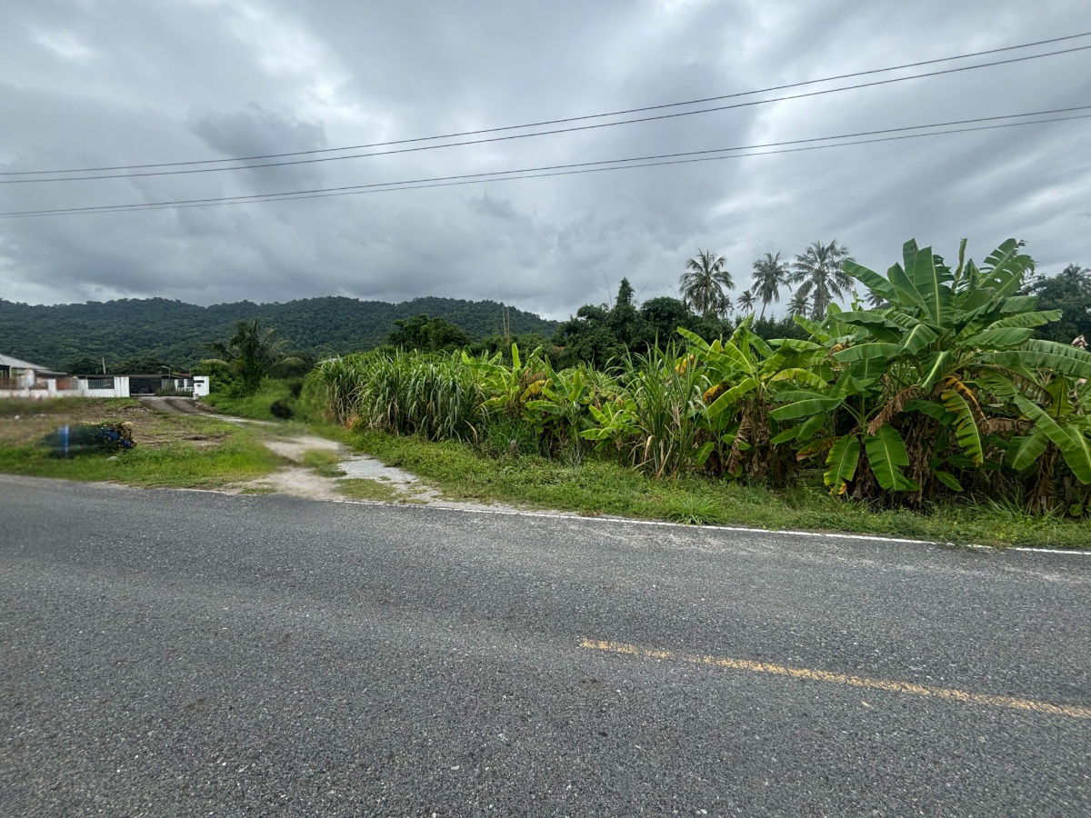 picture Land for Sale with Mountain View 8 Rai in Nong Khang Khok, Mueang Chonburi - 3/10