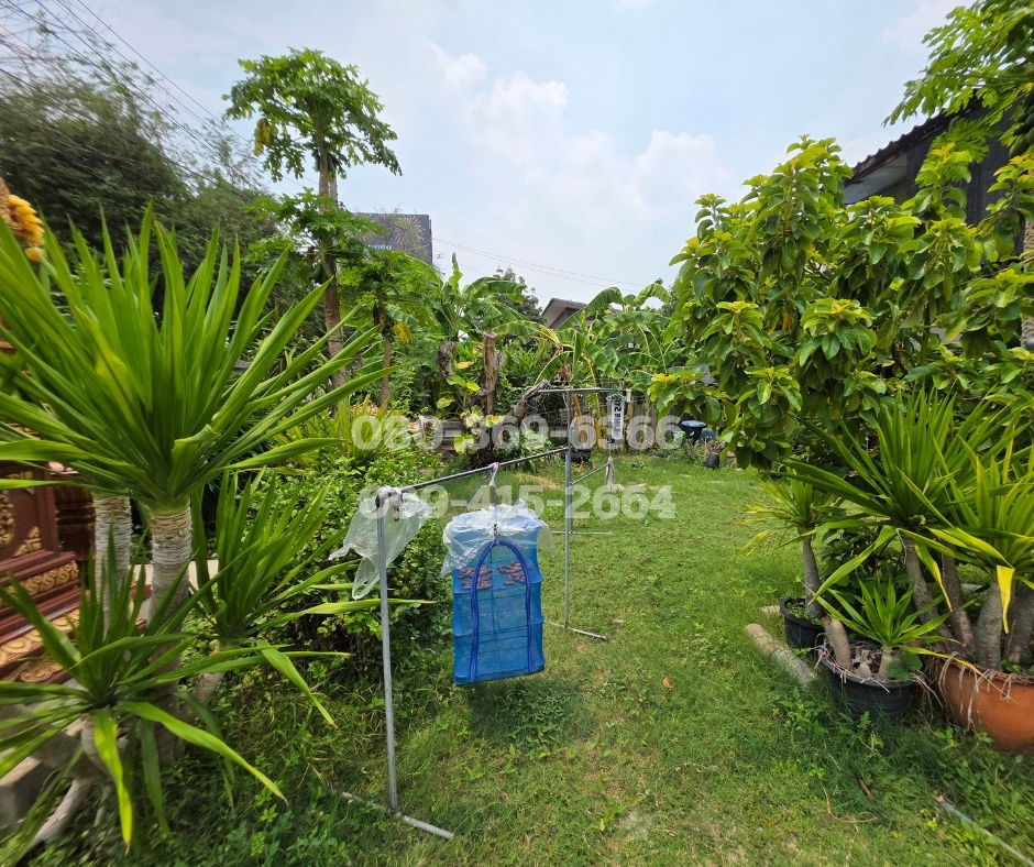 รูป ขายบ้านพร้อมที่ดิน100ตารางวา สุขุมวิท68 - รูปที่ 2/6