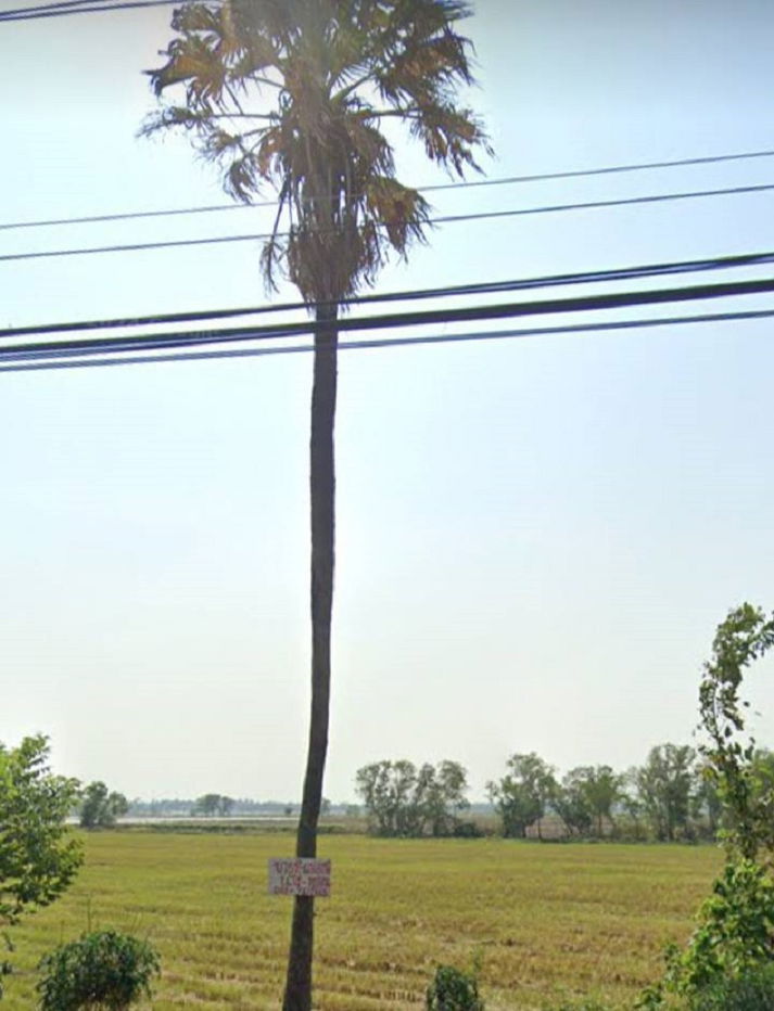 รูป ที่ดิน 3,333-3-47.9 ไร่ บางอ้อ บ้านนา นครนายก - รูปที่ 4/10