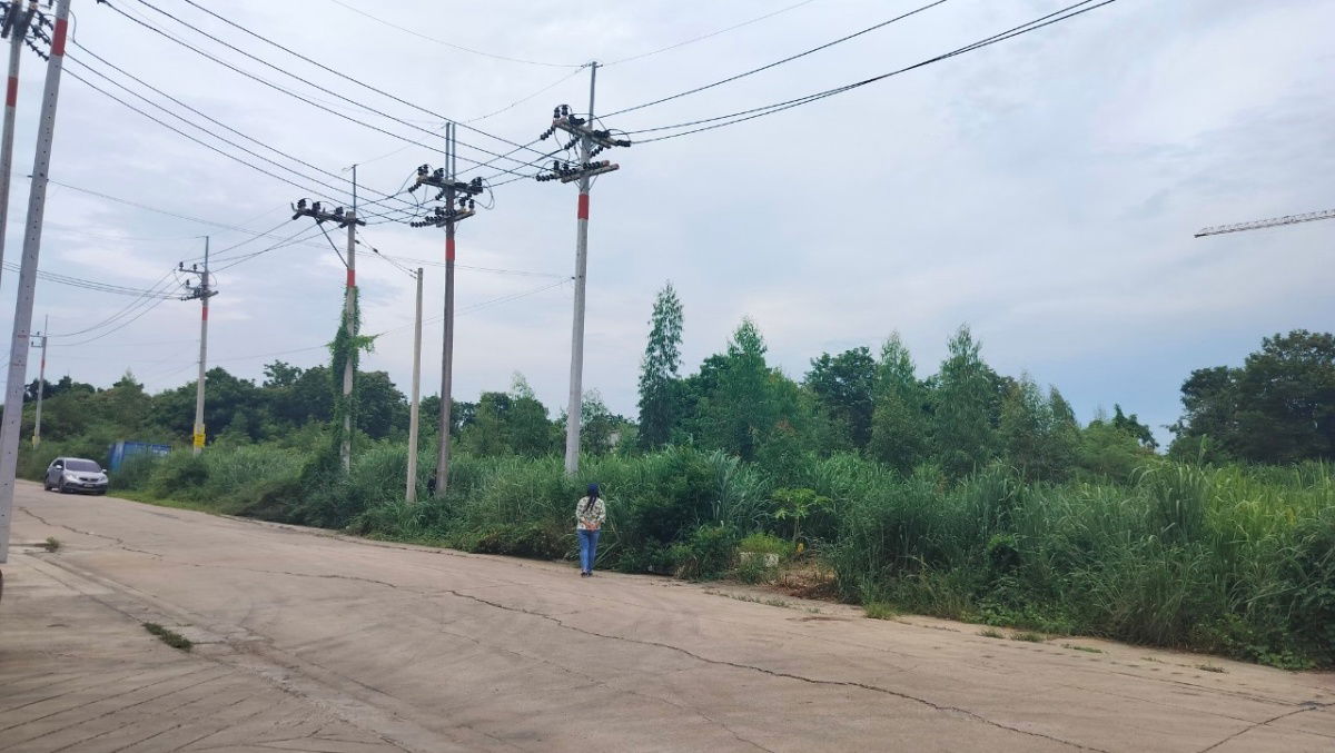 รูป ขายที่ดินคลองหลวงแพ่ง ถนนสุวินทวงศ์  อ.เมืองฉะเชิงเทรา 3แปลงติดกัน รูปทรงสวย - รูปที่ 4/9