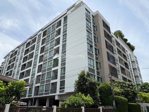 Project Plus 67 Picture - 3/11