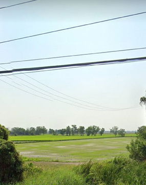 ที่ดิน 3,333-3-47.9 ไร่ บางอ้อ บ้านนา นครนายก