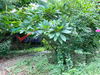 listing thumbnail image 15