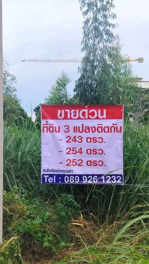 รูป ขายที่ดินคลองหลวงแพ่ง ถนนสุวินทวงศ์  อ.เมืองฉะเชิงเทรา 3แปลงติดกัน รูปทรงสวย - รูปที่ 8/9