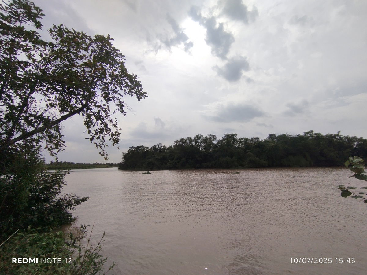 รูป 🌿  ขายที่ดินริมน้ำ 9ไร่ ข้าง รพ.สต.บางแตน อ.บ้านสร้าง ติดแม่น้ำบางปะกง ฮวงจุ้ยดีเยี่ยม “ถุงทอง” ปากแคบ–ก้นกว้าง เก็บทรัพย์ - รูปที่ 3/7