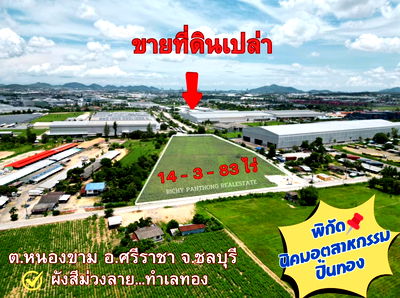 ขายที่ดิน : ขายที่ดินเปล่า 14-3-83 ไร่ ต.หนองขาม อ.ศรีราชา จะ.ชลบุรี