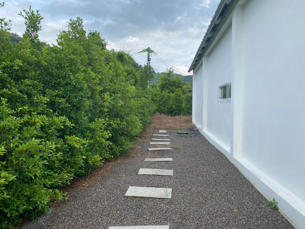 รูป ประกาศขายพื้นที่ติดเขา วิวสวย บ้านสีขาว เคยใช้เป็นออฟฟิศ - รูปที่ 14/25