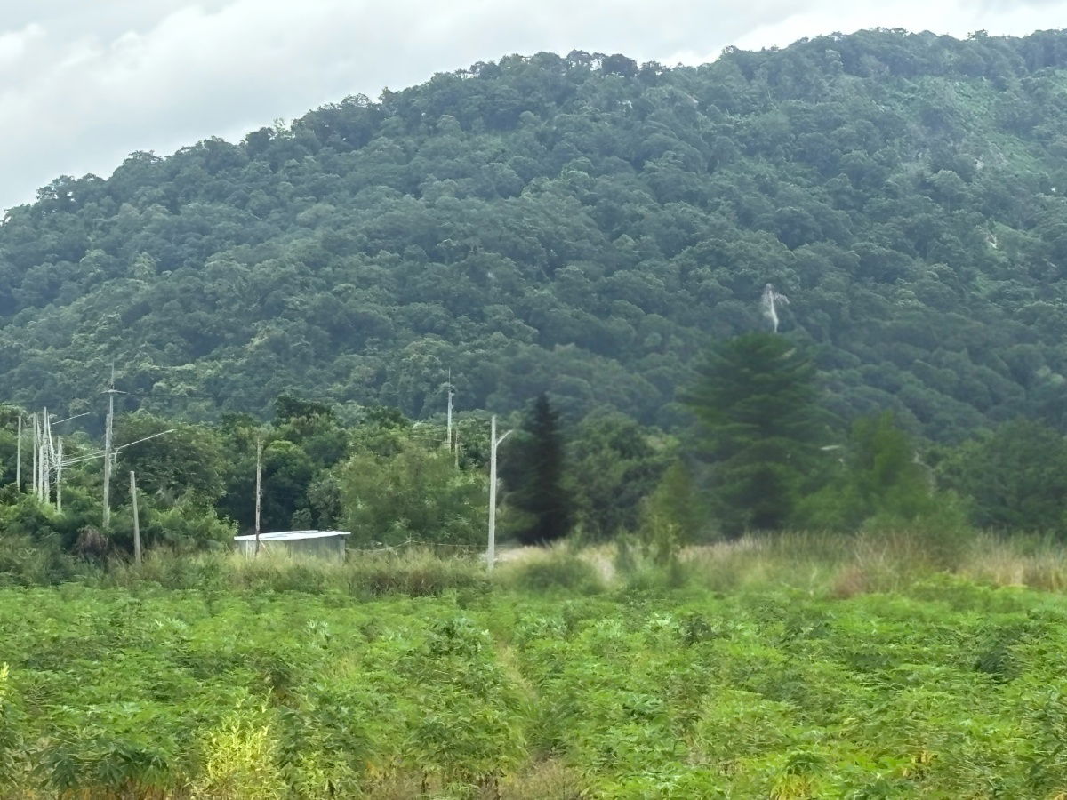picture Land for Sale with Mountain View 8 Rai in Nong Khang Khok, Mueang Chonburi - 1/10
