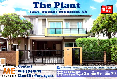 Houses for rent วิทยาลัยดุสิตธานี : For Rent Single House The Plant Pattanakarn 38 Fully furnished Call 064-954-9619 (RBH13-55)
