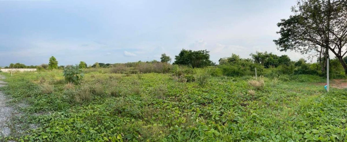 รูป ขายที่ดิน 125 ตรว. ตำบลสำราญราษฎร์ อำเภอดอยสะเก็ด จังหวัดเชียงใหม่ เดินทางสะดวก ใกล้แหล่งชุมชนและสถานที่สำคัญ - รูปที่ 6/8