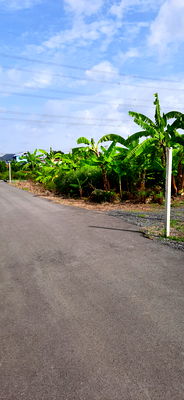 ขายที่ดิน : ที่ดิน 1 ไร่ (พร้อมสวน) ติดถนนใกล้ทางด่วนมอเตอร์