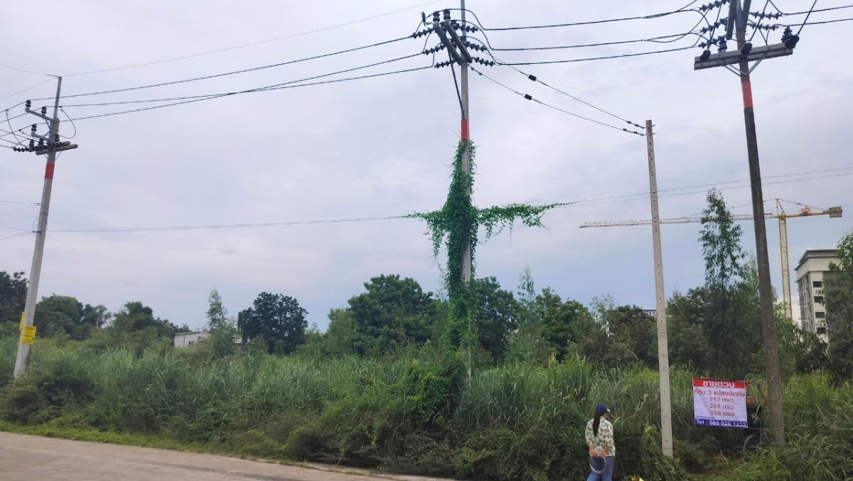 รูป ขายที่ดินคลองหลวงแพ่ง ถนนสุวินทวงศ์  อ.เมืองฉะเชิงเทรา 3แปลงติดกัน รูปทรงสวย - รูปที่ 2/9