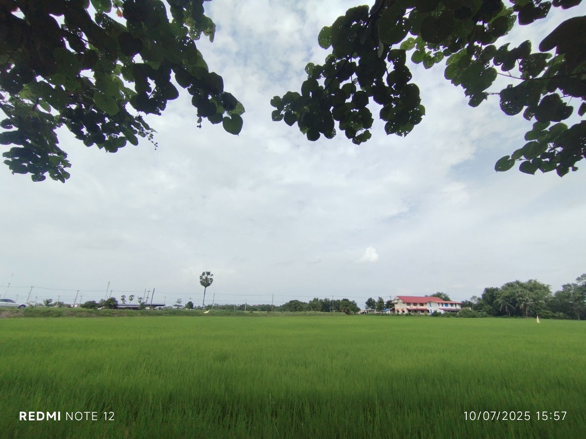 รูป 🌿  ขายที่ดินริมน้ำ 9ไร่ ข้าง รพ.สต.บางแตน อ.บ้านสร้าง ติดแม่น้ำบางปะกง ฮวงจุ้ยดีเยี่ยม “ถุงทอง” ปากแคบ–ก้นกว้าง เก็บทรัพย์ - รูปที่ 2/7