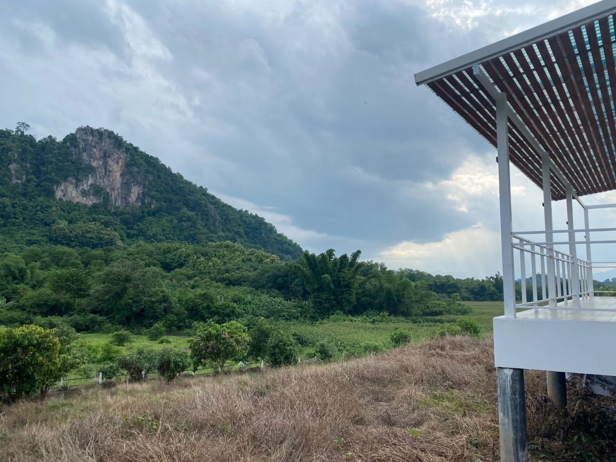 รูป ประกาศขายพื้นที่ติดเขา วิวสวย บ้านสีขาว เคยใช้เป็นออฟฟิศ - รูปที่ 10/25