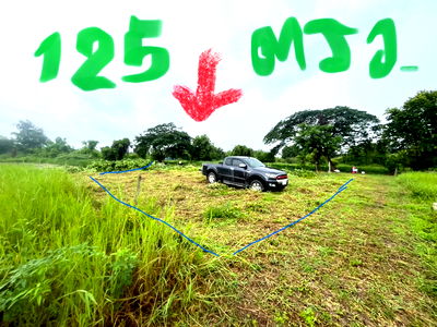 ที่ดิน ไปรษณีย์สันกำแพง : ขายที่ดิน 125 ตรว. ตำบลสำราญราษฎร์ อำเภอดอยสะเก็ด จังหวัดเชียงใหม่ เดินทางสะดวก ใกล้แหล่งชุมชนและสถานที่สำคัญ