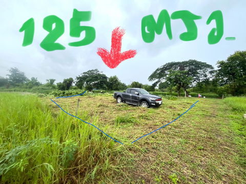 ขายที่ดิน 125 ตรว. ตำบลสำราญราษฎร์ อำเภอดอยสะเก็ด จังหวัดเชียงใหม่ เดินทางสะดวก ใกล้แหล่งชุมชนและสถานที่สำคัญ