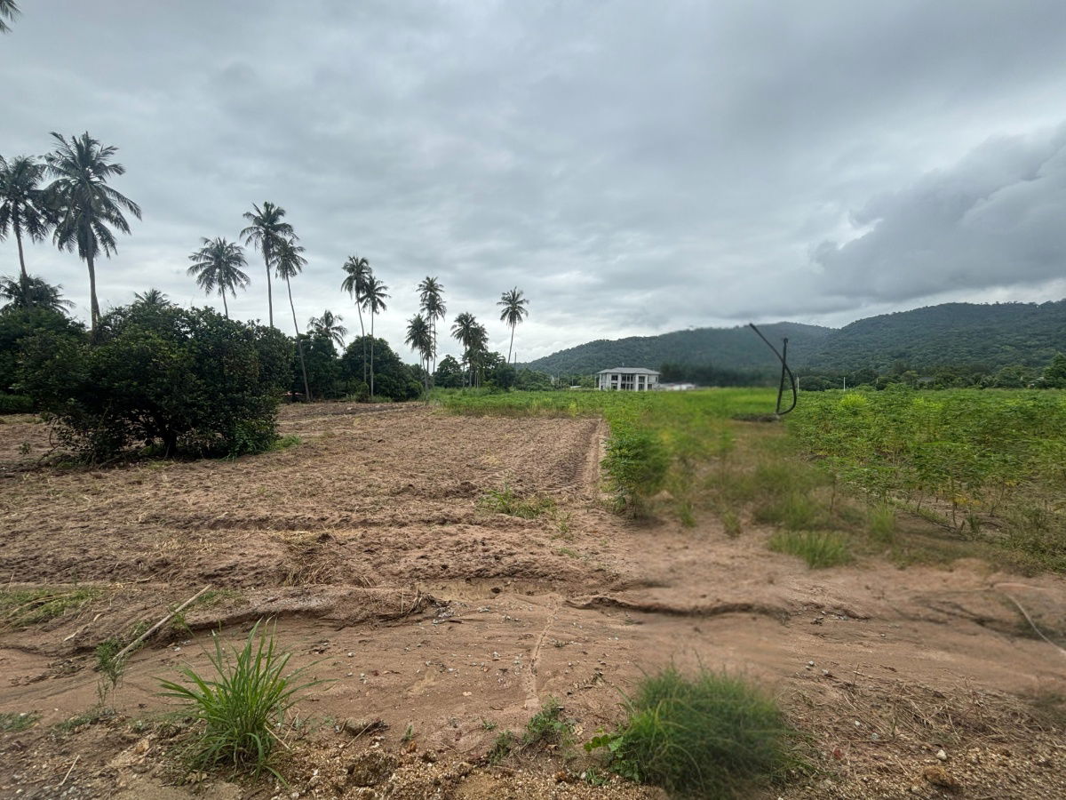 picture Land for Sale with Mountain View 8 Rai in Nong Khang Khok, Mueang Chonburi - 2/10