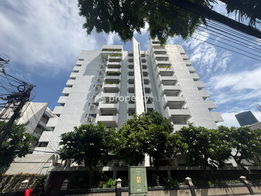 รูป Esmeralda - รูปที่ 2/7