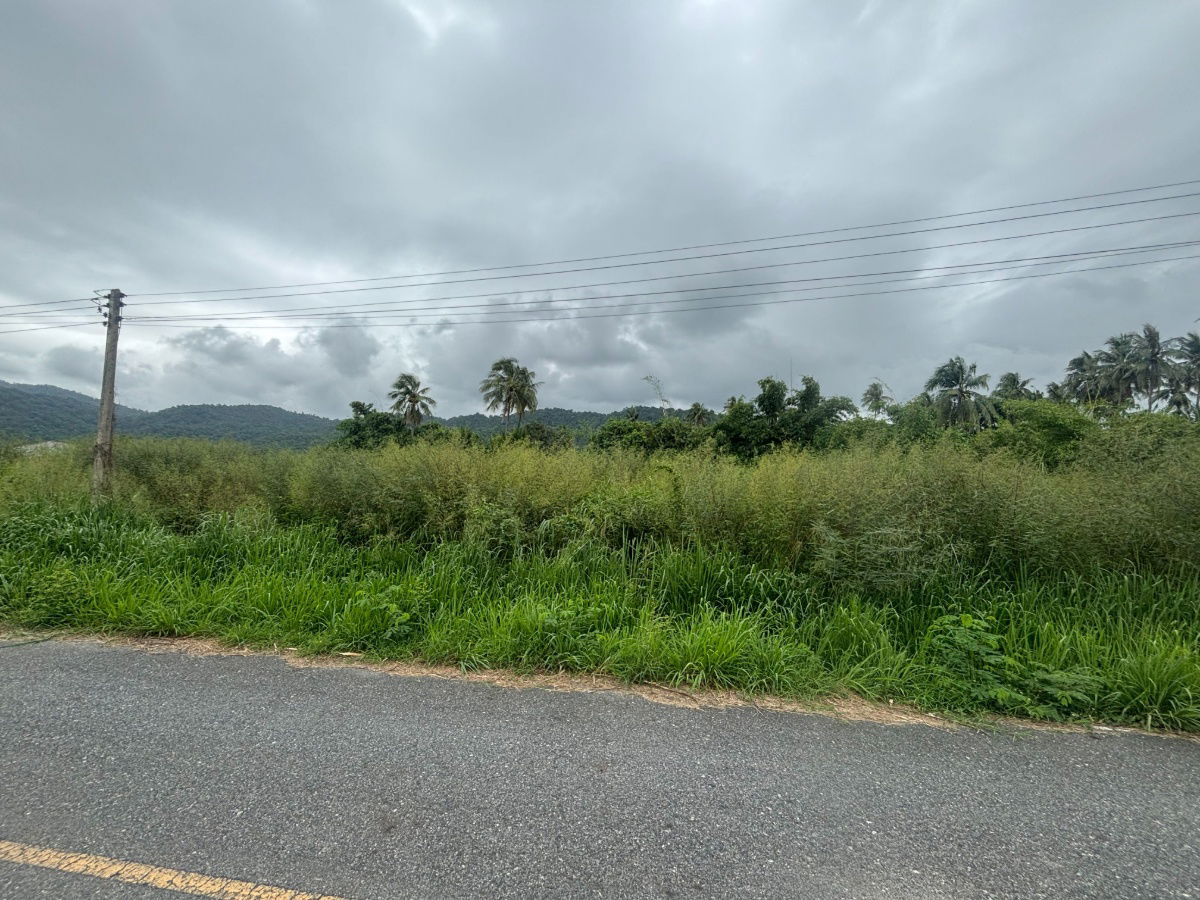 picture Land for Sale with Mountain View 8 Rai in Nong Khang Khok, Mueang Chonburi - 4/10