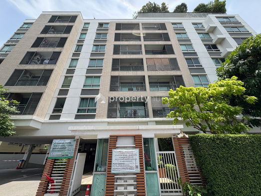 Project Plus 67 Picture - 2/11