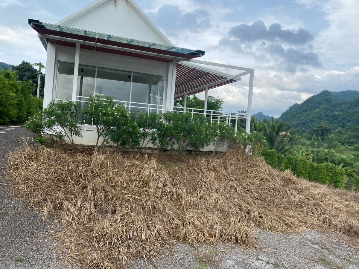 รูป ประกาศขายพื้นที่ติดเขา วิวสวย บ้านสีขาว เคยใช้เป็นออฟฟิศ - รูปที่ 13/25