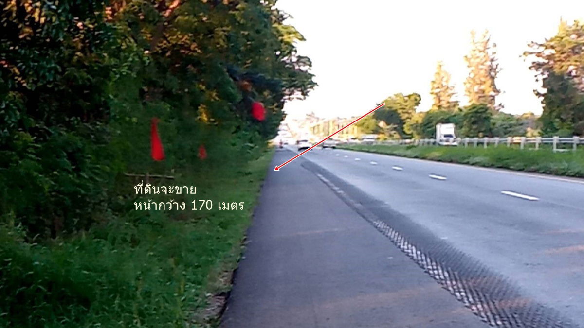 รูป ขายที่ดิน 56 ไร่ อ.บ้านไผ่ ขอนแก่น ติดถนนมิตรภาพหน้ากว้าง170เมตร - รูปที่ 3/11