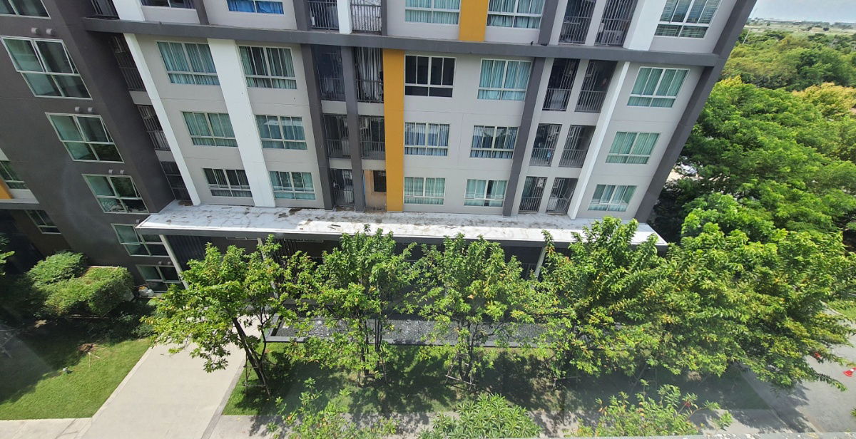 รูป cd1778 ให้เช่าคอนโด ชั้นสูง ราคาถูกๆ 8,000/เดือน (มีเครื่องซักผ้า ฝาหน้า) ดี คอนโด แคมปัส รีสอร์ท บางนา ใกล้ ม.เอแบค บางนา Abac bangna - รูปที่ 10/20