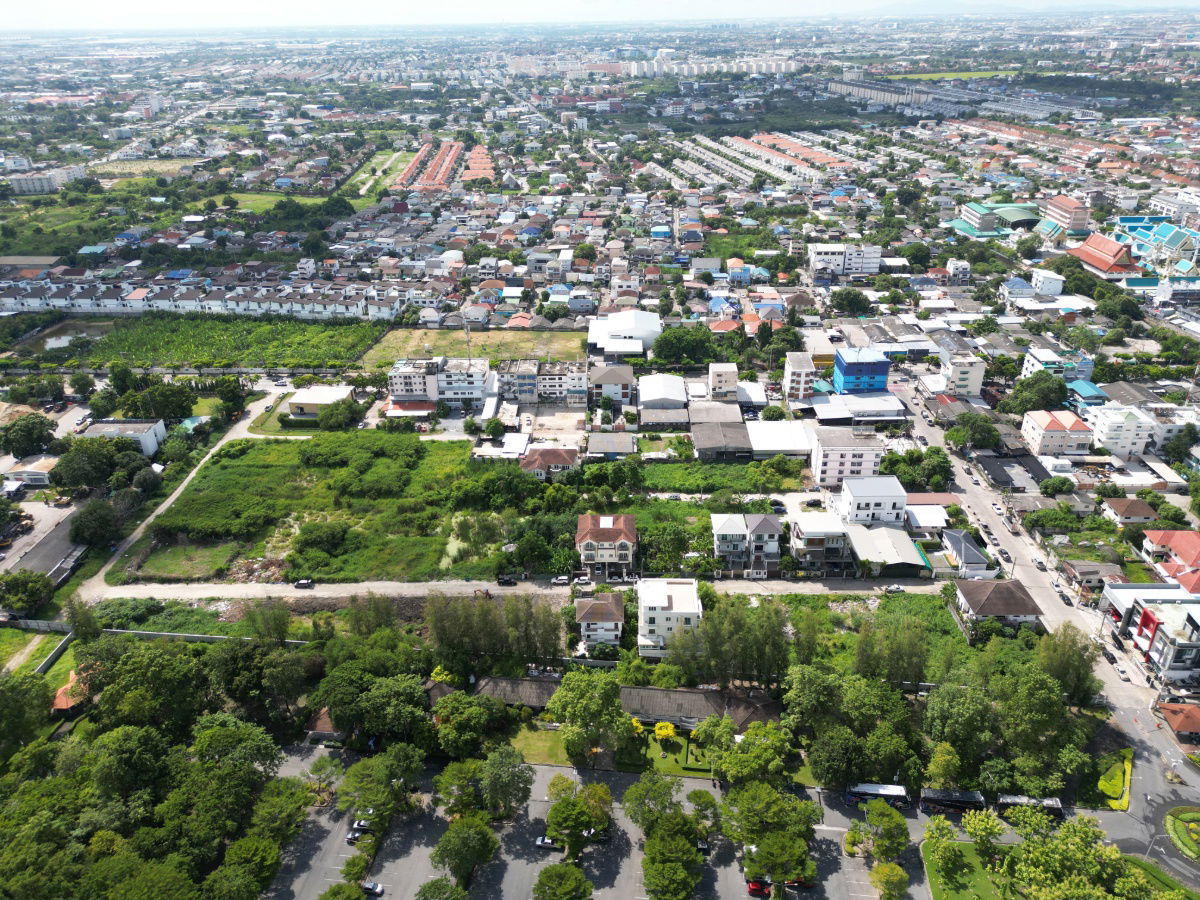รูป ขายที่ดิน ถนนเฉลิมพระเกียรติ ร.9 ซอย 39 แปลงสวย ทำเลดีสุดๆ ธรรมชาติสุดๆ และราคาดีสุดๆ ขนาด 100 ตรว. ขายเพียง 4.5 ล้านบาท เท่านั้น ราคาดีสุดๆจริงๆครับ - รูปที่ 23/50