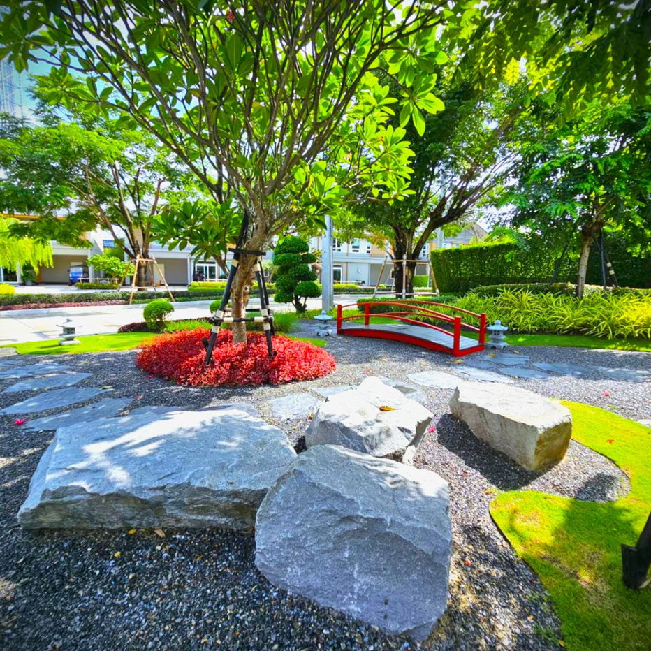 รูป บ้านเดี่ยวทำเลรังสิต สิ่งอำนวยความสะดวกครบ มีรถโดยสารผ่านหน้าโครงการ ใกล้โรงเรียน ใกล้ห้าง ในราคาไม่เกิน 6 ล้าน - รูปที่ 1/9