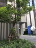 listing thumbnail image 15