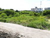 listing thumbnail image 49