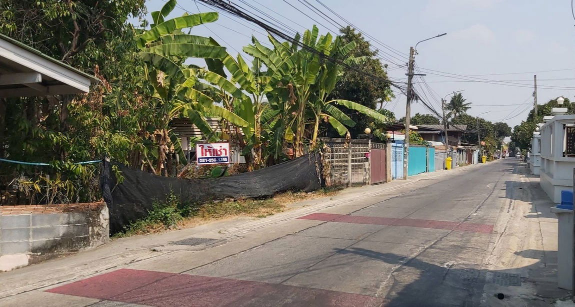 picture Call : 081-259-1385 Land for rent 3 rai in Rattanathibet, Soi Sai Ma 14, Mueang Nonthaburi, Width 11 meters, Near MRT Sai Ma Station - 2/12