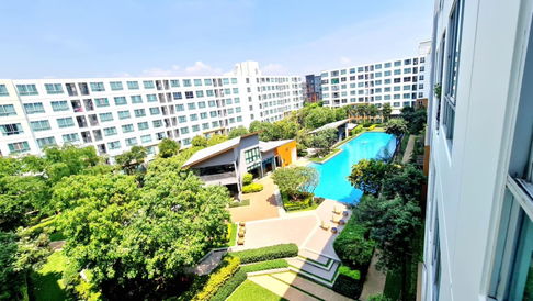 For Rent – Dcondo NIM Chiang Mai | 30 sqm | Pool View | 7th Floor | Fully Furnished – 10,000 THB/month 🏢💦🌿