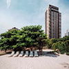 listing thumbnail image 12