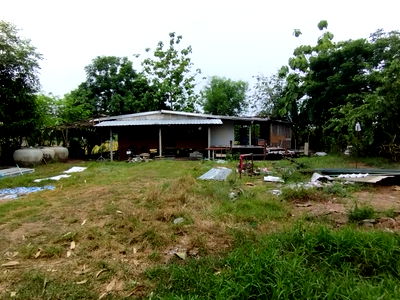ที่ดิน เขตหนองจอก : ขายที่ดินถมแล้ว หนองจอก กรุงเทพฯ พร้อมโอนเปลี่ยนเจ้าของ ใกล้สิ่งอำนวยความสะดวก สนใจติดต่อเพื่อดูสถานที่ได้ 089 3768624
