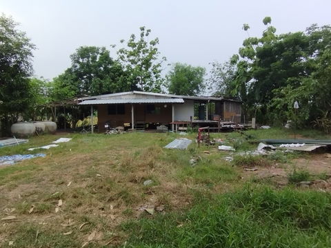 ขายที่ดินถมแล้ว หนองจอก กรุงเทพฯ พร้อมโอนเปลี่ยนเจ้าของ ใกล้สิ่งอำนวยความสะดวก สนใจติดต่อเพื่อดูสถานที่ได้ 089 3768624