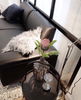 listing thumbnail image 10