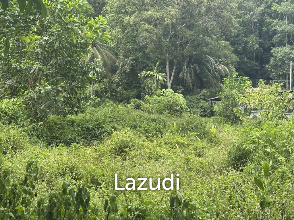 รูป Land Surrounded by Nature – Near the Waterfall - รูปที่ 5/6