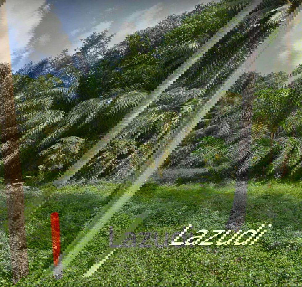 รูป Land Surrounded by Nature – Near the Waterfall - รูปที่ 4/6
