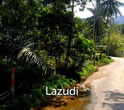 ที่ดิน เกาะพะงัน สุราษฎร์ธานี : Land Surrounded by Nature – Near the Waterfall