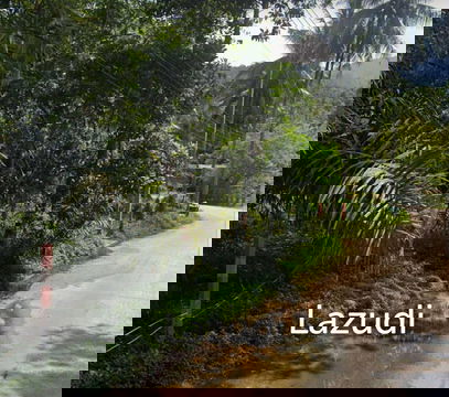 Land Surrounded by Nature – Near the Waterfall