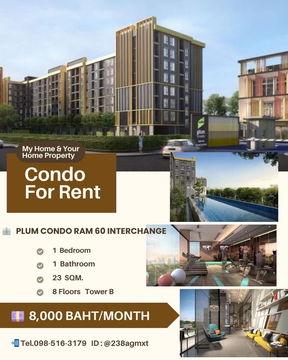 คอนโดปล่อยเช่า 8 ชั้น Plum condo ram 60  (มีเครื่องซักผ้า)