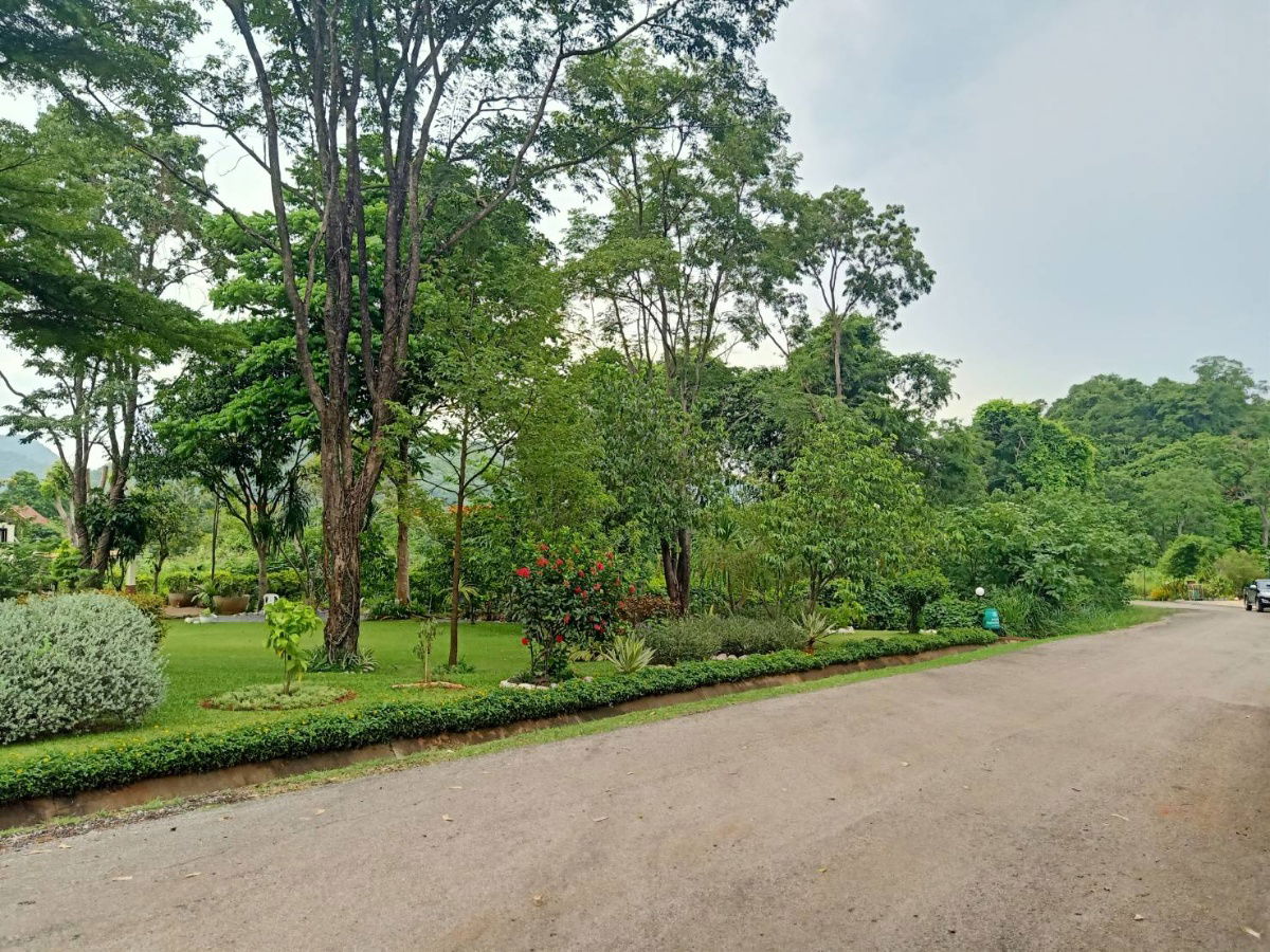 รูป ขายที่ดินเขาใหญ่ หมูสี ปากช่อง ธนะรัชต์ 2ไร่ ใกล้อุทยาน ในโครงการบ้านเขาใหญ่ บรรยากาศดีมาก สงบน่าอยู่ ใกล้มอเตอร์เวย์ แม็คโคร ตลาดร้านค้า 0879074045 - รูปที่ 2/6