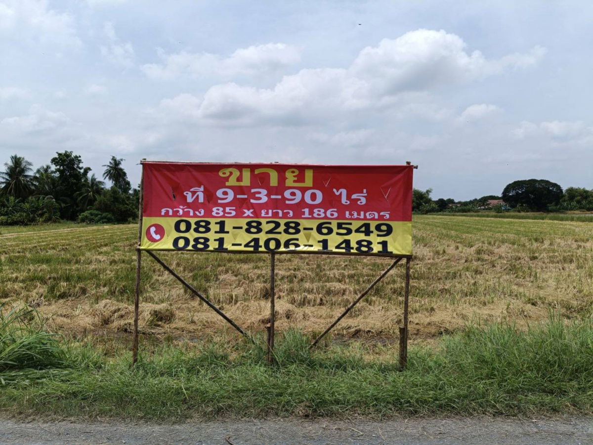 picture Sell At Nong Chok, Krathum Rai, 2 plots, next to the road, near the Aiem Sombat community, very special price - 1/7
