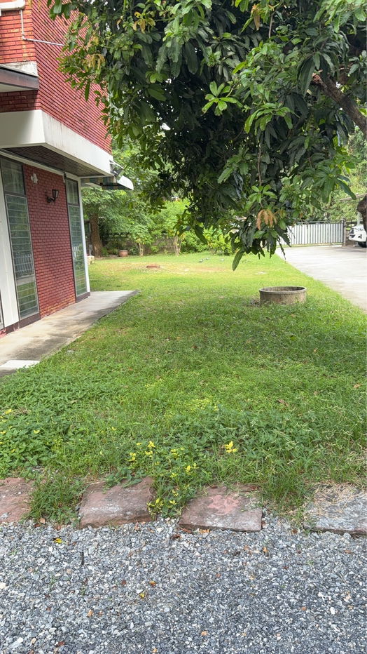 picture House for sales Ekkachai soi 16 - 14/15