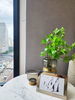 listing thumbnail image 12